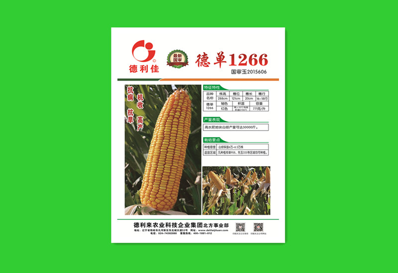玉米种(德单1266)